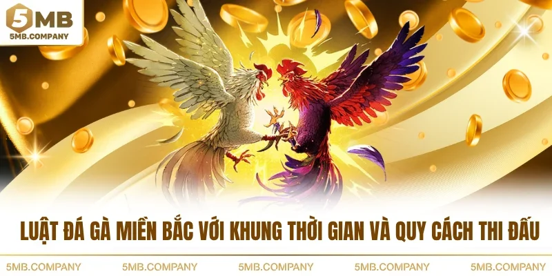 Luật đá gà miền Bắc với khung thời gian và quy cách thi đấu